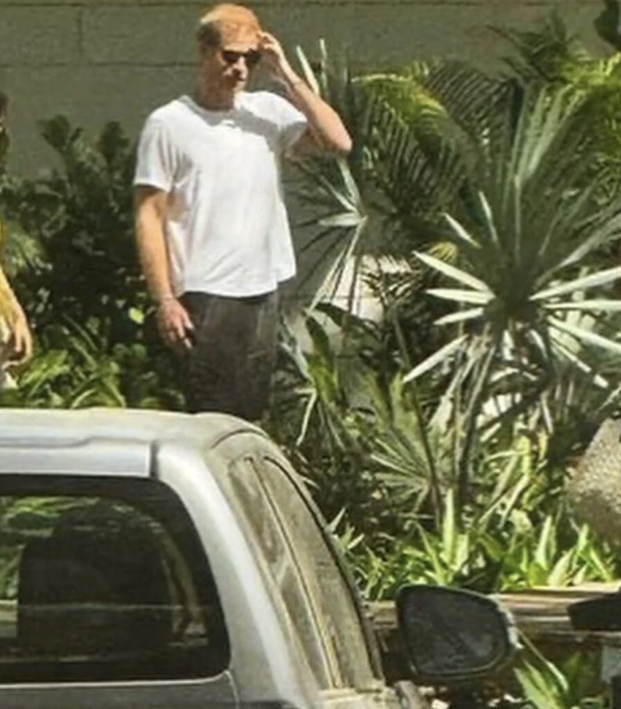 Los duques de Sussex de vacaciones en Costa Rica. Foto: Instagram.