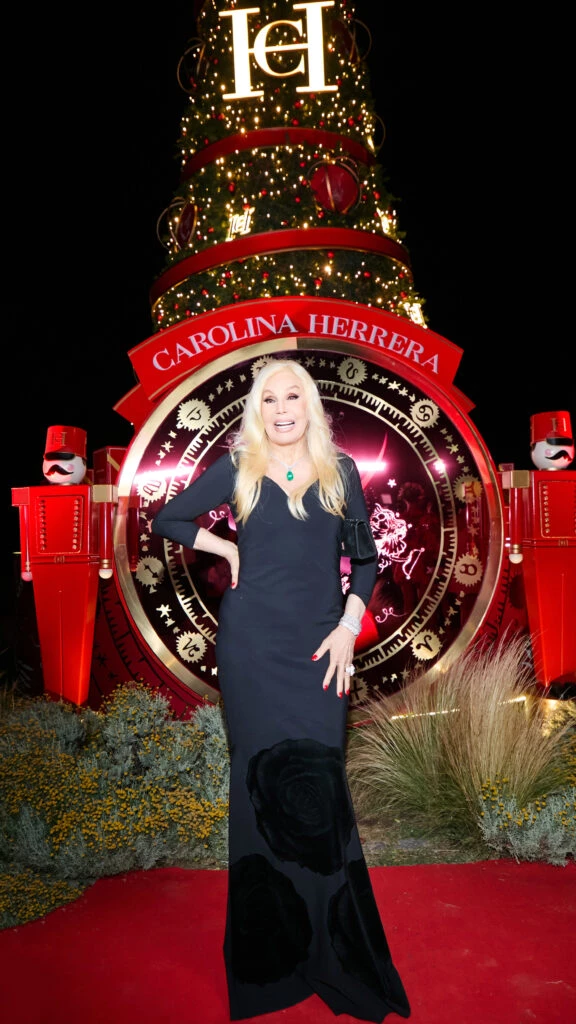 Susana Giménez lució un vestido negro.