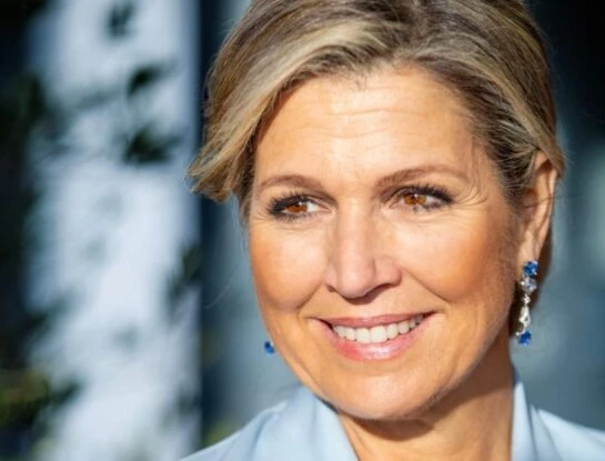 Máxima deslumbró en la gala de Navidad con un look inspirado en Cenicienta
