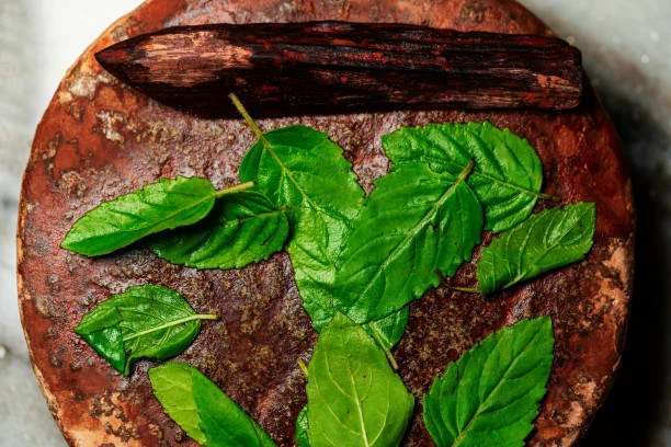 Ritual de menta: actúa contra la envidia y atrae prosperidad