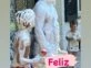Las fotos del cumpleaños número 52 de Gastón Pauls: pic nic, música y amigos