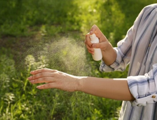 ¡Chau mosquitos! 4 recetas fáciles para preparar repelentes caseros y naturales