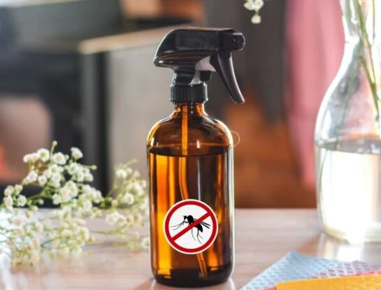 Vinagre de manzana: el repelente natural perfecto para ahuyentar mosquitos