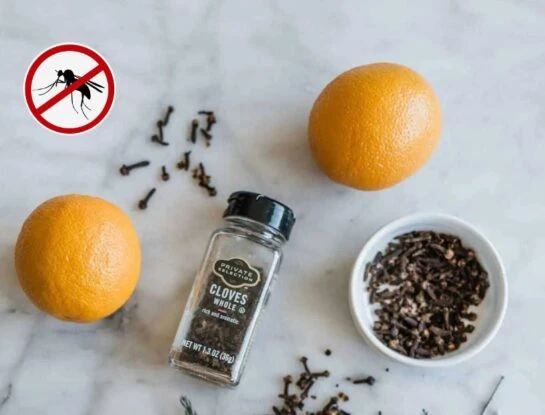 Chau mosquitos: aprendé a hacer un repelente natural en casa