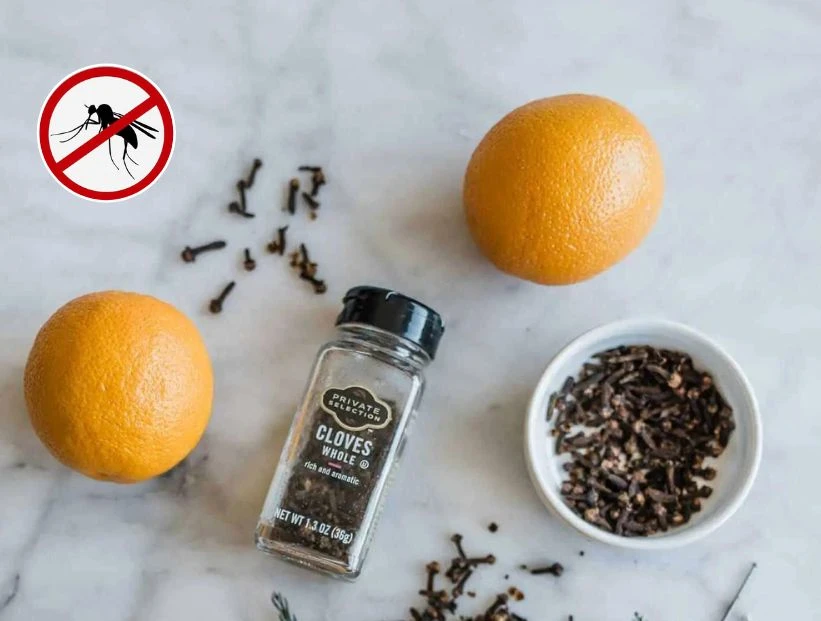 Chau mosquitos: cómo preparar un repelente casero y natural con sólo 3 ingredientes