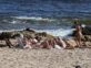 Las fotos de Valeria Mazza y familia disfrutando de la playa en Punta del Este
