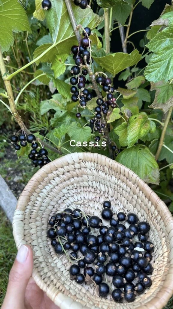 Las mejores fotos de las vacaciones de Juliana Awada. Foto: Instagram. 