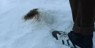 Pis negro en La sociedad de la nieve