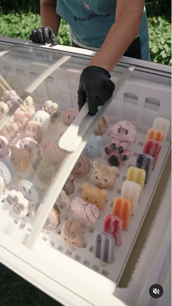 El cumpleaños temático de Magnolia Vicuña.