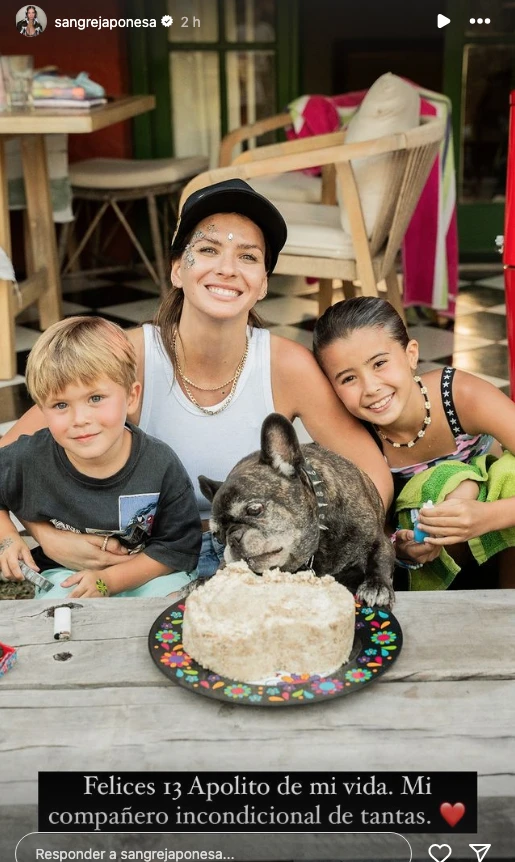 El cumpleaños temático de Magnolia Vicuña.