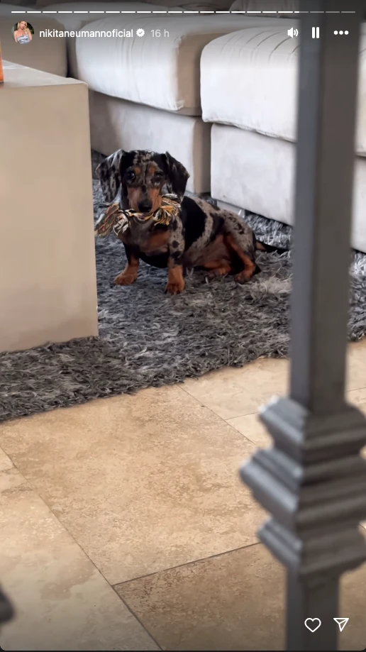 Los perritos de Nicole Neumann