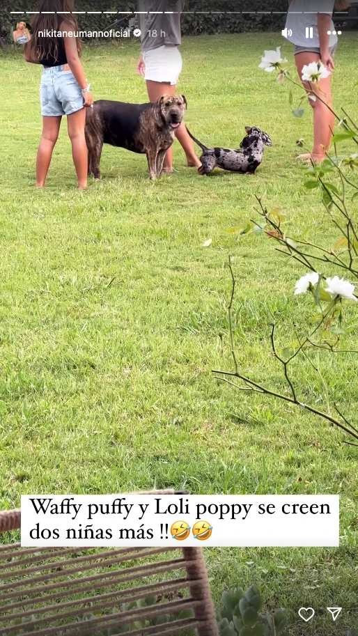 Los perritos de Nicole Neumann