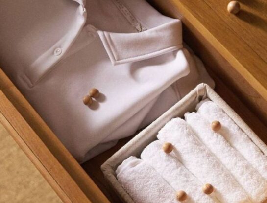 Chau polillas: 7 recetas infalibles para evitar que te arruinen la ropa