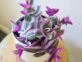 Tradescantia nanouk: la planta con hojas verdes y violetas que no puede faltar en tu casa