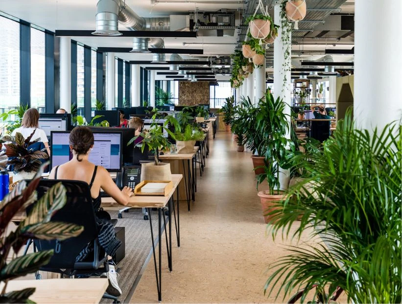 Qué efecto tiene la temperatura en el lugar de trabajo