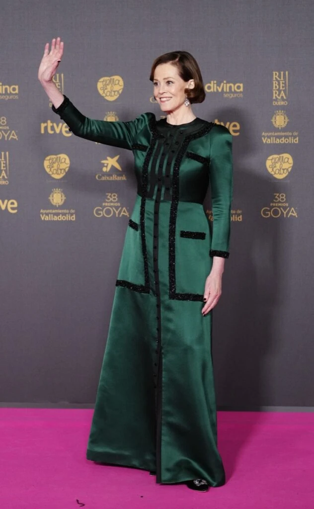 Goya 2024: Los mejores looks de la red carpet de los premios al cine