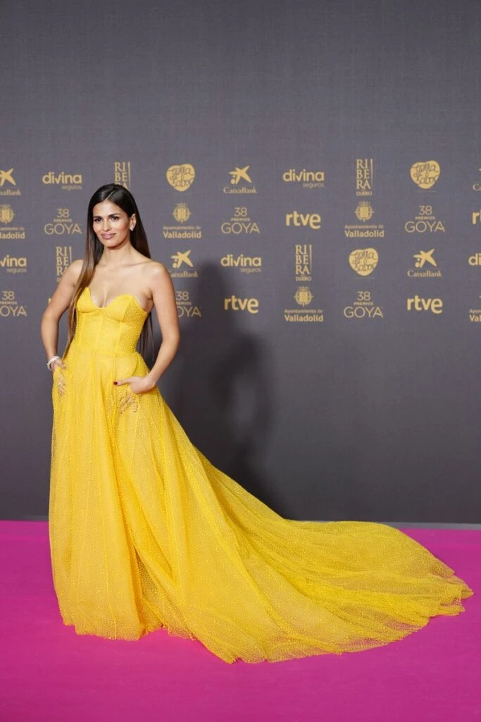 Goya 2024: Los mejores looks de la red carpet de los premios al cine