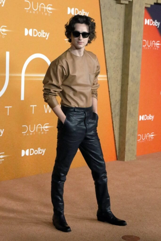 TimothÄe Chalamet