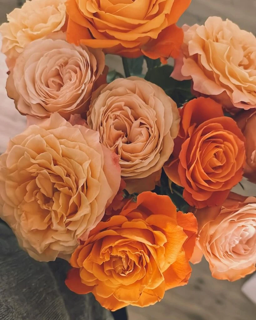 Las fotos de las vacaciones de Dolores Barreiro y Santiago Gómez Romero en Francia