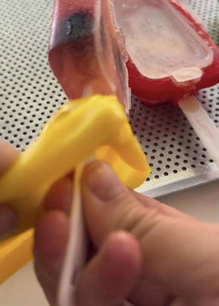 Paletas heladas de champagne