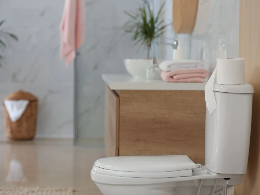 Por qué recomiendan tirar sal al inodoro durante la noche