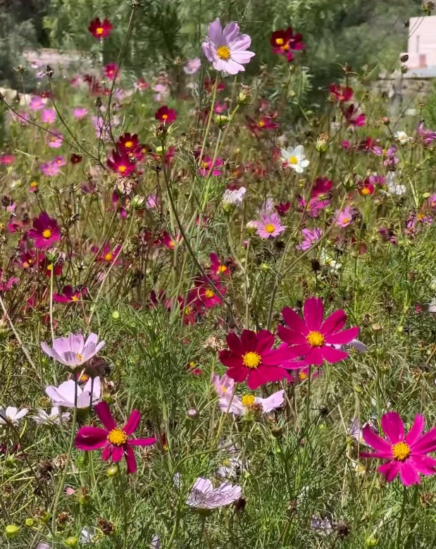 Así es 'La casa de Tilcara', la propiedad que Dolores Barreiro alquila en Jujuy