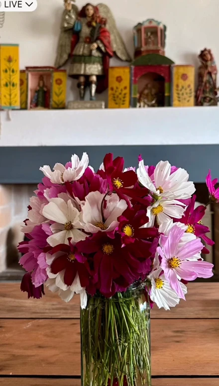 Así es 'La casa de Tilcara', la propiedad que Dolores Barreiro alquila en Jujuy