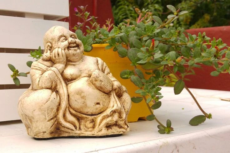 Por qué Nicole Neumann pone Budas en los ambientes de su casa: qué significa