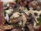 La receta de la tarta de Maru Botana de jamón crudo, burrata y portobello súper rica y fácil de hacer