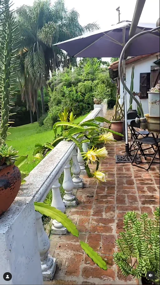 Así es la casa de Osvaldo Laport y Viviana Sáez