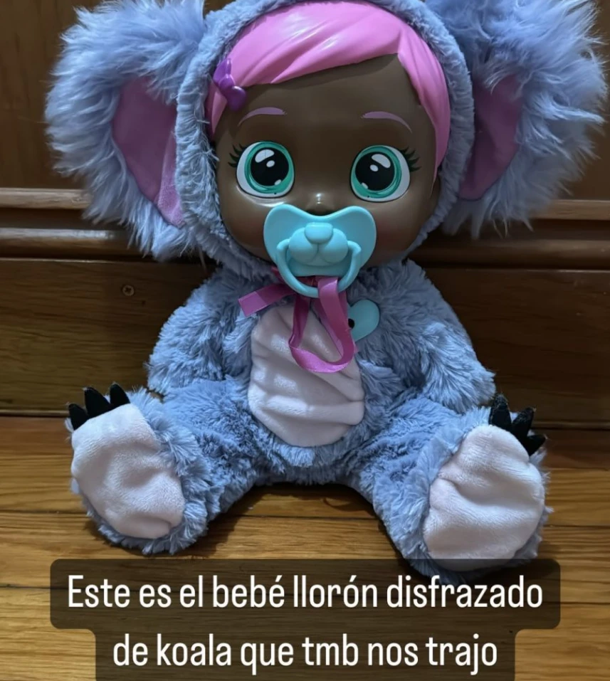 El muñeco disfrazado de koala: otro regalo de Dalma para Roma.