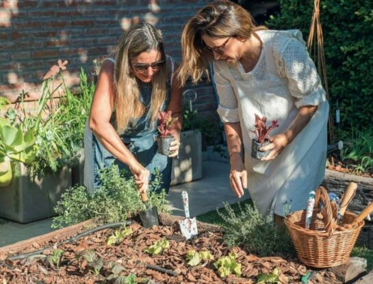 Huerta en casa: qué sembrar y cómo prepararla para el otoño