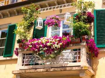 Las plantas y flores colgantes más lindas para decorar tu balcón