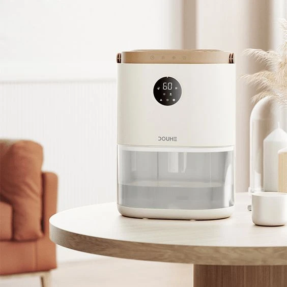 Semana de lluvia: cómo secar la ropa adentro y evitar el olor a humedad