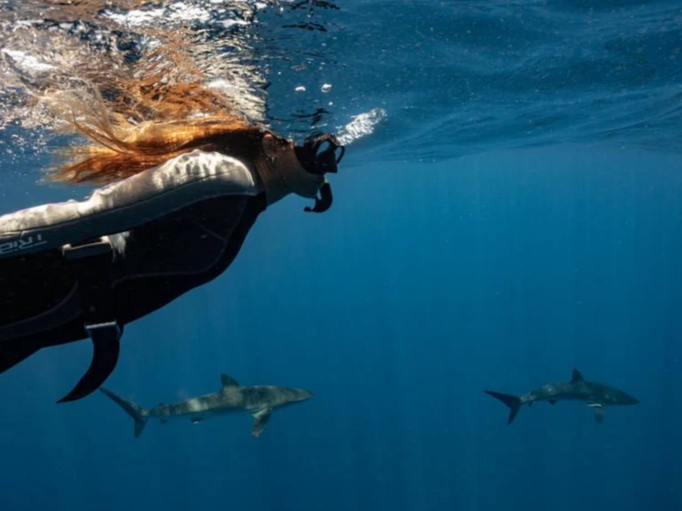 La historia de Martina Álvarez, la primera argentina en documentar tiburones: busca crear conciencia sobre la vida marina