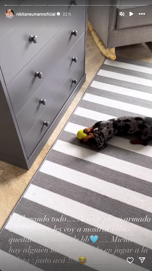 Nicole Neumann mostró cómo está quedando la habitación de su bebé.