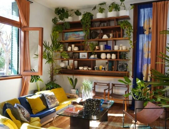 Las mejores ideas para decorar tu primer departamento con plantas