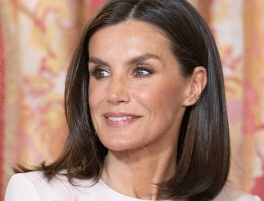 Letizia Ortiz tiene le vestido más romántico de su placard