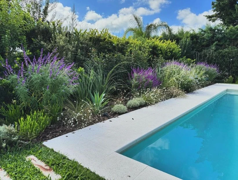 5 tips de una experta para tener un jardín de mariposas y colibríes