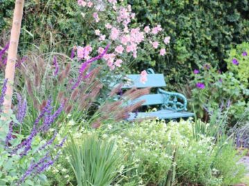 Manual de Jardinería: plantas y flores que no pueden faltar en tu jardín este otoño