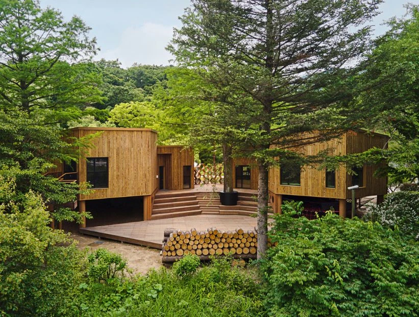 Escuela bosque: la nueva tendencia mundial en educación