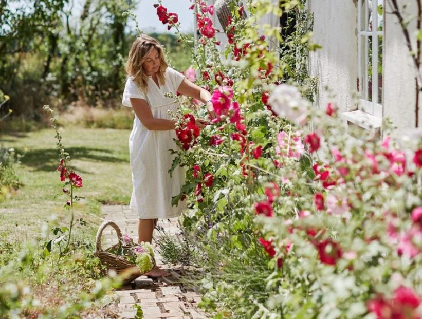 Manual de Jardinería: cambiar los rosales de lugar, ¿sí o no?