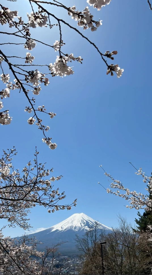 Las fotos de Natalia Oreiro y su hijo, Ata, de viaje por Japón