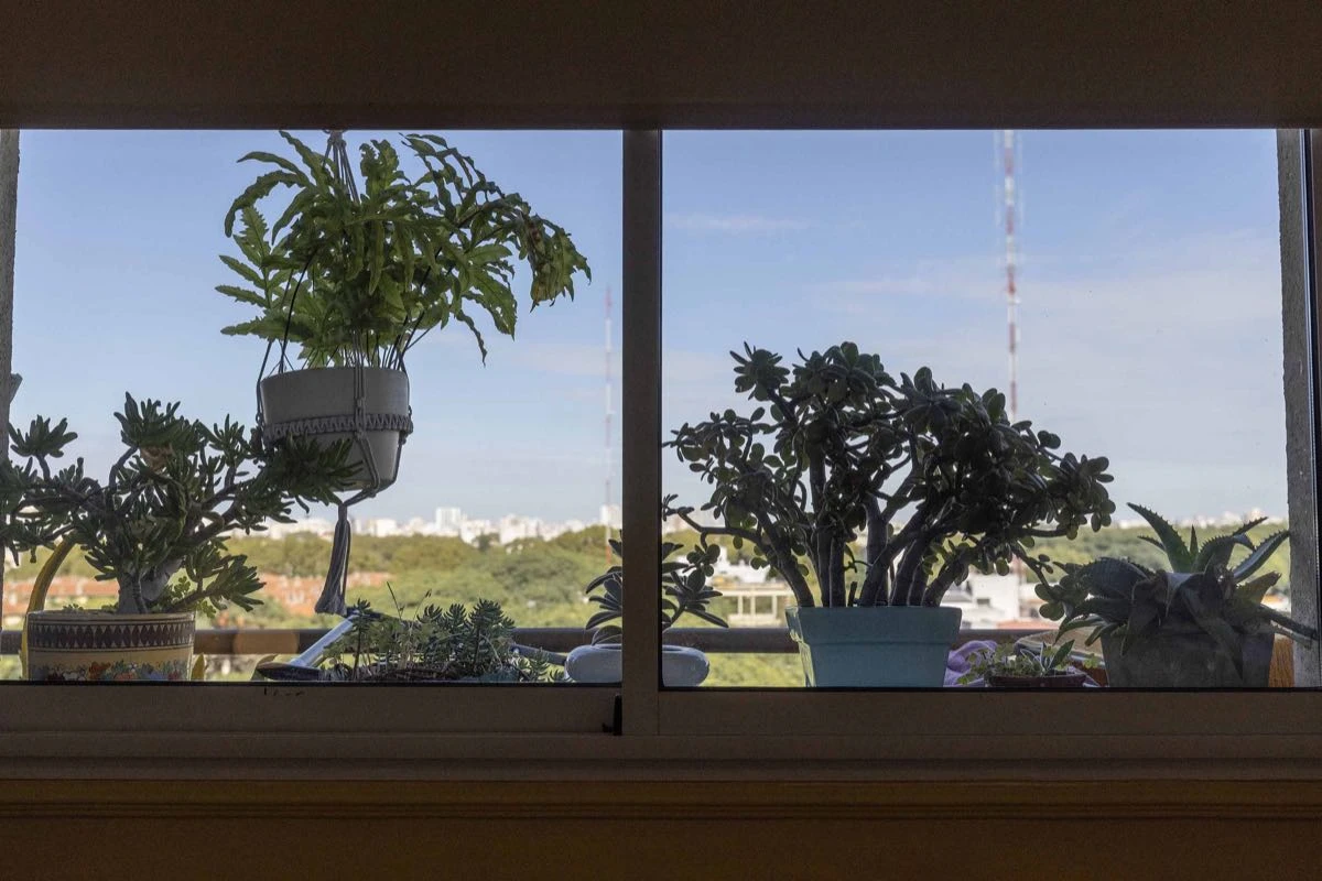 La habitación de Anita, con vista al Parque Los Andes y el verde de Vivero Mario.