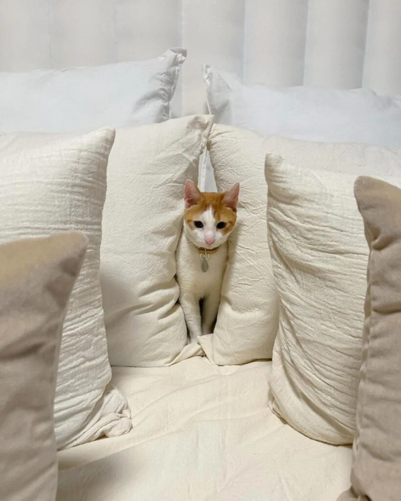 la nueva casa de jimena barón