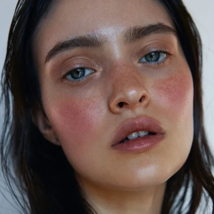 Maquillaje: esta temporada se usa el rubor y se coloca as�