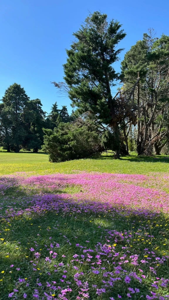 Juliana Awada y una tarde a puro relax y golf