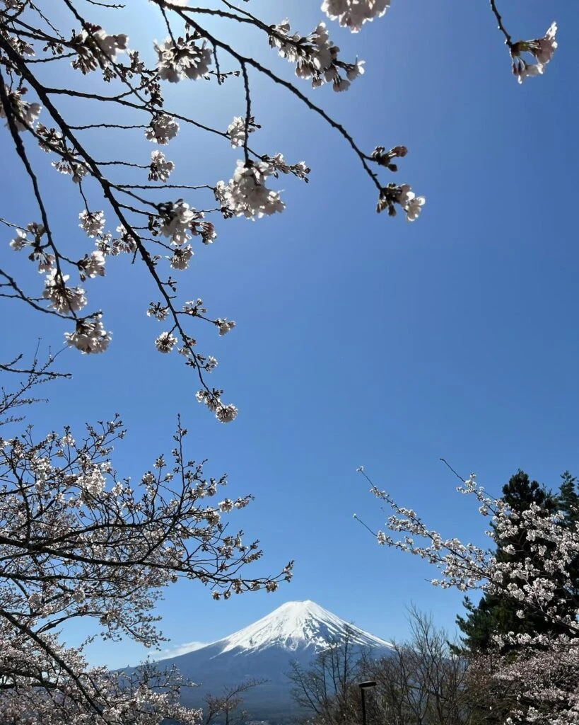 Las fotos de Natalia Oreiro y su hijo, Ata, de viaje por Japón