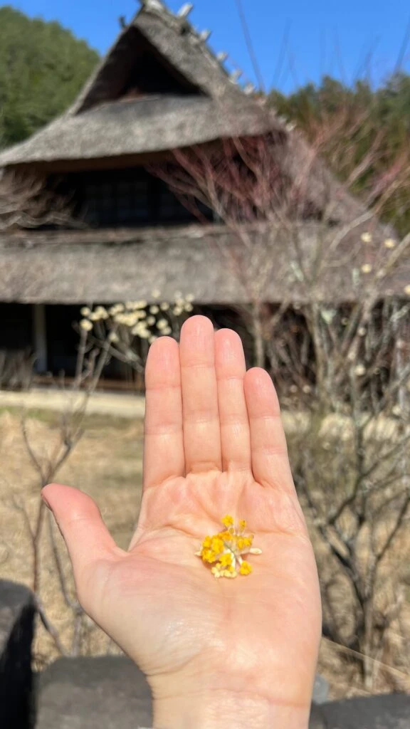 natalia oreiro en japon