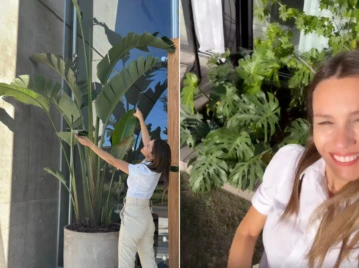 Pampita mostró cómo renovó el paisajismo de su jardín